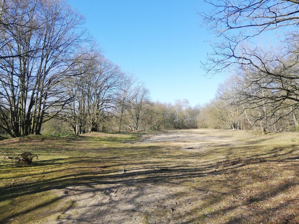 B&B De Stuifduinen Wetteren Eksteriør bilde