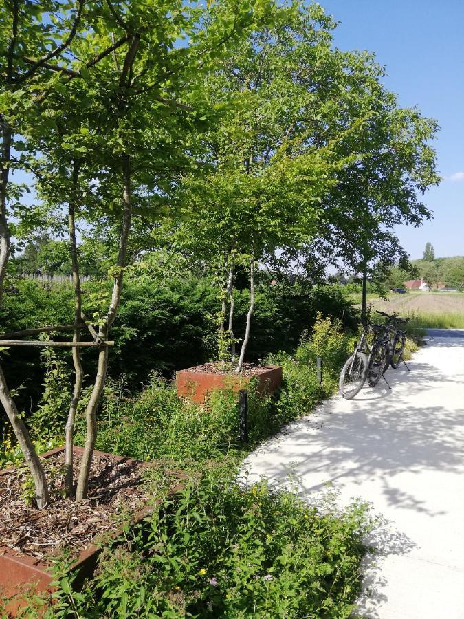 B&B De Stuifduinen Wetteren Eksteriør bilde