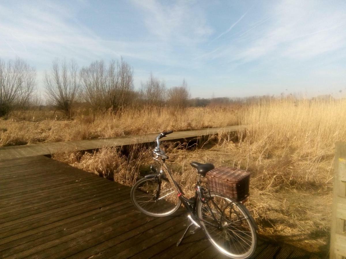 B&B De Stuifduinen Wetteren Eksteriør bilde